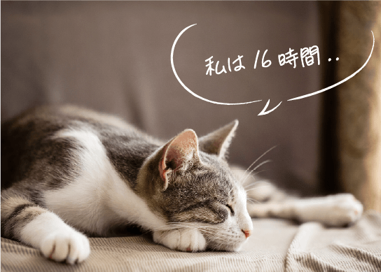 私は16時間...